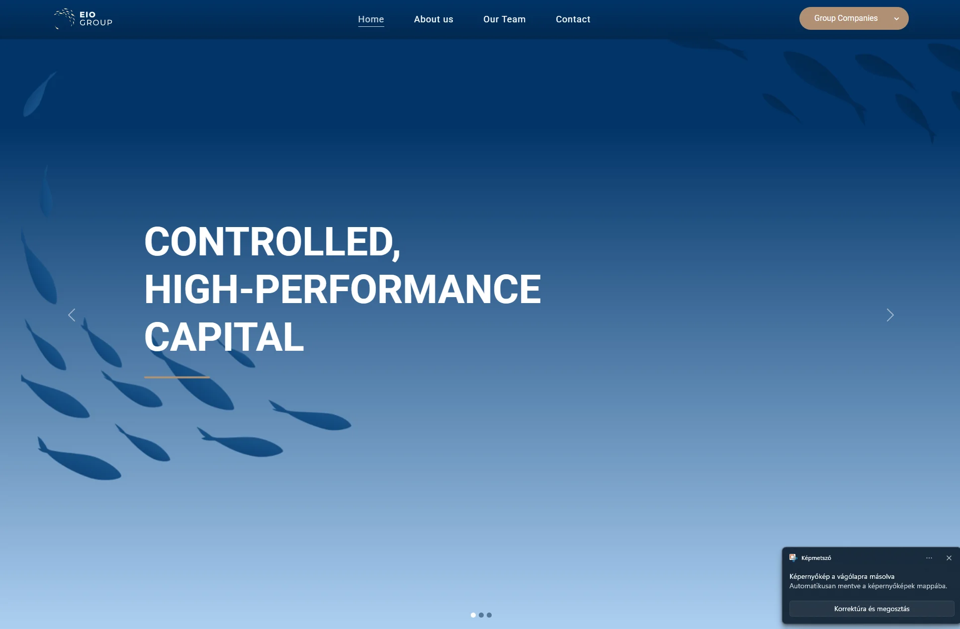 EIO-Group.com - weboldal referencia